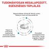 Royal Canin Anallergenic 18  3 kg