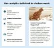 Foresto 1,25 g + 0,56 g nyakörv macskáknak és kutyáknak  1 db