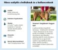 Foresto 1,25 g + 0,56 g nyakörv macskáknak és kutyáknak  1 db
