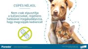 Foresto 1,25 g + 0,56 g nyakörv macskáknak és kutyáknak  1 db