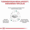 Royal Canin Diabetic Dog 37  1.5 kg