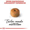 Royal Canin Siamese Adult - Sziámi felnőtt macska száraz táp  400 g