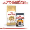 Royal Canin Siamese Adult - Sziámi felnőtt macska száraz táp  400 g