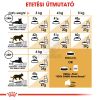 Royal Canin Siamese Adult - Sziámi felnőtt macska száraz táp  400 g