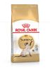 Royal Canin Siamese Adult - Sziámi felnőtt macska száraz táp  400 g