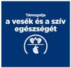 Hill's Prescription Diet y/d Thyroid Care száraz macskatáp  1.5 kg