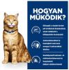 Hill's Prescription Diet™ c/d™ Multicare nedves macskatáp, lazac 12 x  85 g