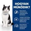 Hill's Prescription Diet i/d Digestive Care macskatáp, lazac - alutasakos 12 x  85 g