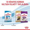 Royal Canin Giant Junior - óriás testű kölyök kutya száraz táp  15 kg