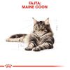 Royal Canin Maine Coon Adult - Maine Coon felnőtt macska száraz táp  2 kg