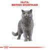 Royal Canin British Shorthair Adult - Brit rövidszőrű felnőtt macska száraz táp  2 kg