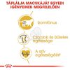 Royal Canin British Shorthair Adult - Brit rövidszőrű felnőtt macska száraz táp  2 kg