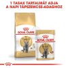 Royal Canin British Shorthair Adult - Brit rövidszőrű felnőtt macska száraz táp  2 kg