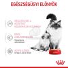 Royal Canin Mother & Babycat Mousse - kölyök macska pépes nedves táp  195 g