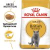 Royal Canin British Shorthair Adult - Brit rövidszőrű felnőtt macska száraz táp  4 kg