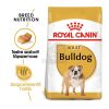 Royal Canin Bulldog Adult - Angol Bulldog felnőtt kutya száraz táp  12 kg