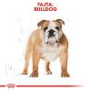 Royal Canin Bulldog Adult - Angol Bulldog felnőtt kutya száraz táp  12 kg