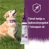 Vectra 3D rácsepegtető oldat 1,5 - 4 kg-os kutyáknak XS  3 db
