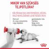 Royal Canin Babycat Milk -  tejpótló tápszer kölyökmacska részére  300 g