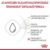 Royal Canin Babycat Milk -  tejpótló tápszer kölyökmacska részére  300 g