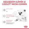 Royal Canin Babycat Milk -  tejpótló tápszer kölyökmacska részére  300 g