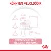 Royal Canin Babycat Milk -  tejpótló tápszer kölyökmacska részére  300 g