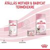 Royal Canin Babycat Milk -  tejpótló tápszer kölyökmacska részére  300 g