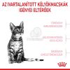 Royal Canin Kitten Sterilised - ivartalanított kölyök macska száraz táp  400 g