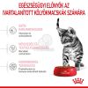 Royal Canin Kitten Sterilised - ivartalanított kölyök macska száraz táp  2 kg