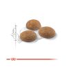 Royal Canin Outdoor - szabadba gyakran kijáró, aktív felnőtt macska száraz táp  2 kg