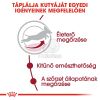Royal Canin Medium Adult 7+ - közepes testű idősödő kutya száraz táp  4 kg