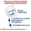 Royal Canin Maxi Adult 5+ - nagytestű idősödő kutya száraz táp  4 kg