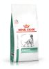 Royal Canin Diabetic Dog 37  7 kg