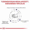 Royal Canin Adult Medium Dog  4 kg