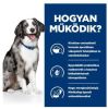 Hill's Prescription Diet i/d Sensitive Digestive Care száraz kutyatáp, tojás & rizs  12 kg
