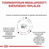 Royal Canin Gastrointestinal Puppy  1 kg