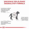 Royal Canin Gastrointestinal Puppy  1 kg