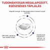 Royal Canin Small Adult Dog  8 kg