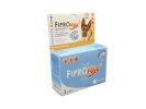 Fipromax spot-on XL 100 mg/ml kutya  3 db