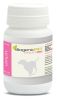 BiogenicPet Vitality Small tabletta  60 tabletta