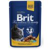 Brit Premium Cat Chicken & Turkey alutasakos  100 g