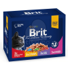 Brit Premium Cat Family multipack 12 x  100 g