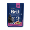 Brit Premium Cat Salmon & Trout alutasakos  100 g