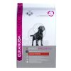 Eukanuba Adult Labrador Retriver CKN  12 kg