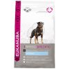 Eukanuba Adult Rottweiler CKN  12 kg