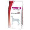Eukanuba Intestinal Dog  12 kg