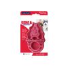 KONG Zoom Groom  Rasperry 