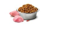 N&D Prime Cat Kitten Chicken & Pomegranate  0.3 kg