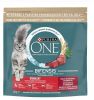 Purina ONE Bifensis Adult Sterilcat Beef  1.5 kg