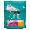 Purina ONE Bifensis Adult Urinary Care Chicken  0.8 kg